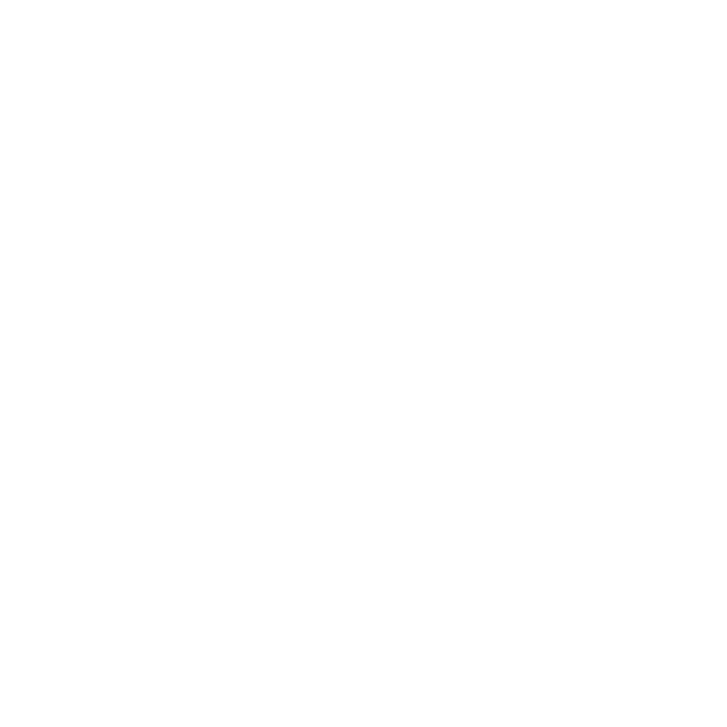 Bigwig Labs logo